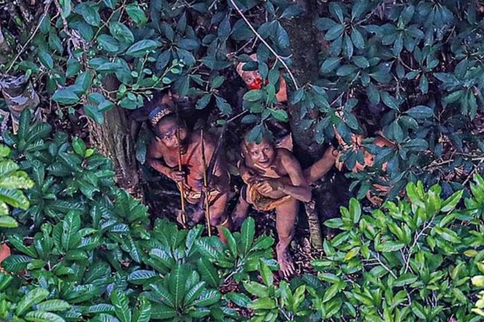 Inilah Ciri-Ciri Suku Mante di Aceh - Semua Halaman - Bobo 