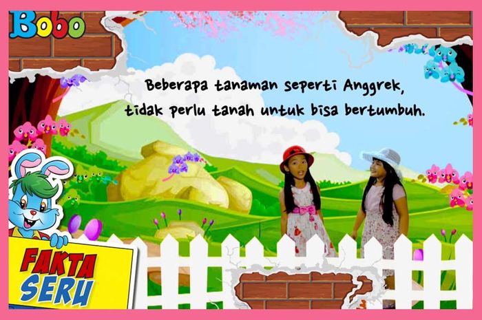 Fakta Unik Mengapa Anggrek Tidak Butuh Tanah Bobo