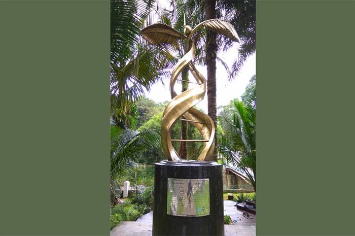 Gambar Pohon Kelapa Sawit