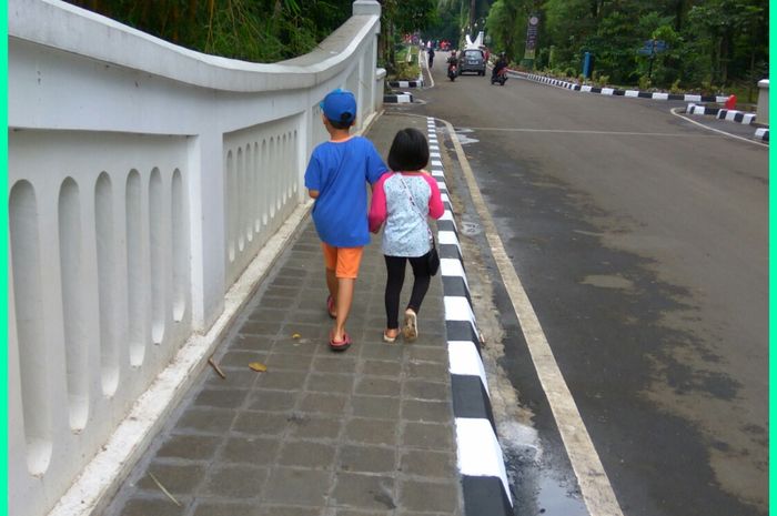 6 Fakta Unik Kebun Raya Bogor Bobo