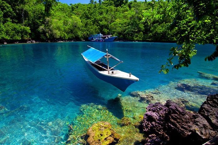 5 Wisata Bawah Laut di Indonesia