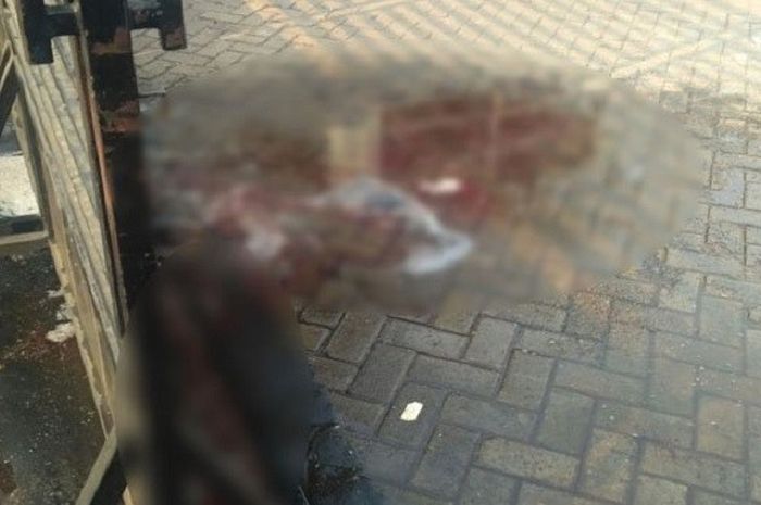 View Persitara Jakarta Utara Gif