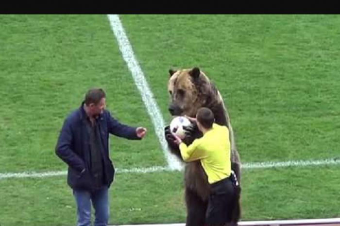 Beruang yang dipaksa menghibur penonton di Stadion, Divisi Tiga Liga Rusia. 