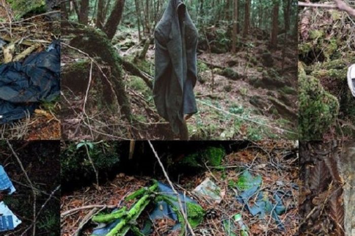 Hutan Aoikigahara, tempat favorit bunuh diri di Jepang