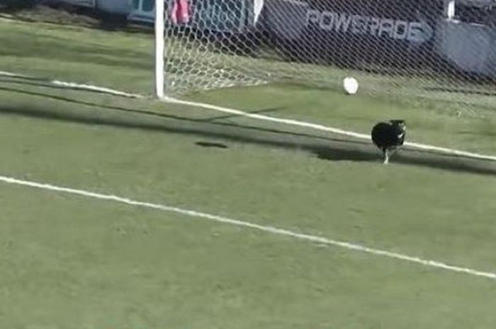 Pertandingan Sepak Bola Divisi Tiga Di Argentina Diwarnai Aksi