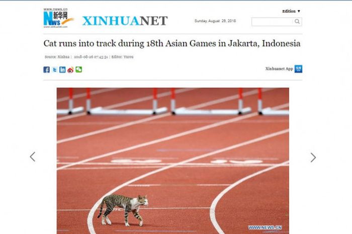 Media asing mewartakan kucing yang masuk ke lintasan atletik Asian Games 2018.