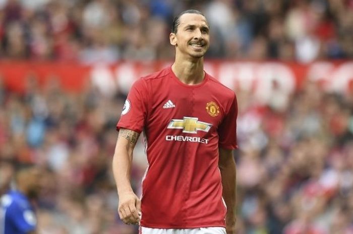 Penyerang Manchester United, Zlatan Ibrahimovic, tampil pada laga Premier League kontra Leicester City di Stadion Old Trafford, Sabtu (24/9/2016).