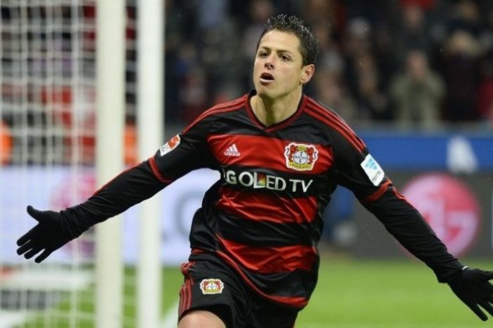 Penyerang Bayer Leverkusen, Javier Hernandez, merayakan gol di sebuah laga Bundesliga.