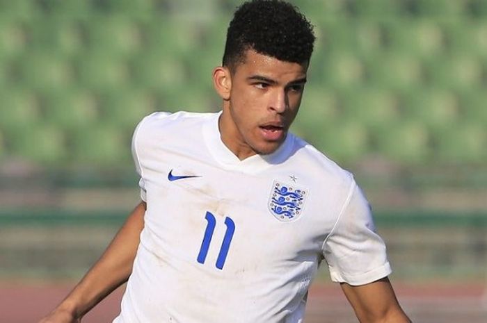 Penyerang muda Inggris, Dominic Solanke, menjadi rekrutan terbaru Liverpool FC di bursa transfer musim panas.