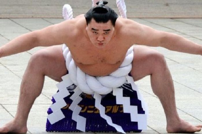 Pesumo asal Mongolia, Harumafuji.