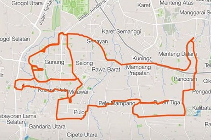 Salah satu hasil karya peserta Brizzi Art Cycling berbentuk Harimau Sumatra.
