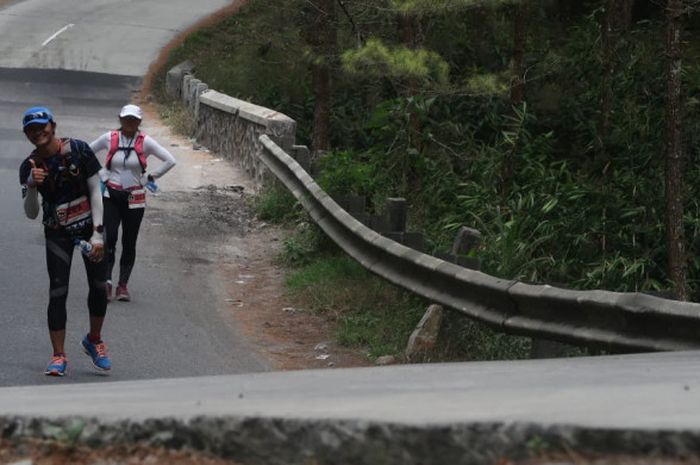 Para pelari sudah tiba di kawasan hutan pinus, Pakis, Magelang, Jawa Tengah, Sabtu (11/8/2018).