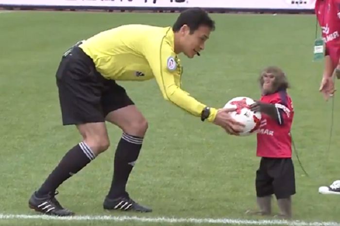 Laga Cerezo Osaka vs Vissel Kobe kedatangan maskot monyet.