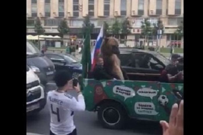 Beruang coklat melakukan parade di jalanan Moskow, Rusia