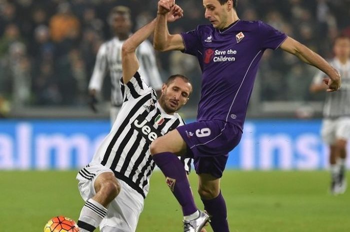 Bek Juventus, Giorgio Chiellini (kiri), berusaha merebut bola dari bomber Fiorentina, Nikolas Kalinic, pada laga lanjutan Serie A di Stadion Juventus, Minggu (13/12/2015) waktu setempat atau Senin dini hari WIB.