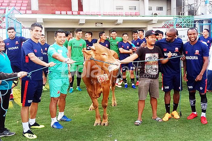 Pemain Madura United di sela-sela latihan rutin di Stadion Gelora Bangkalan, Selasa (21/8/18), menyerahkan hewan kurban kepada Panti Asuhan Ibnu Sabil.