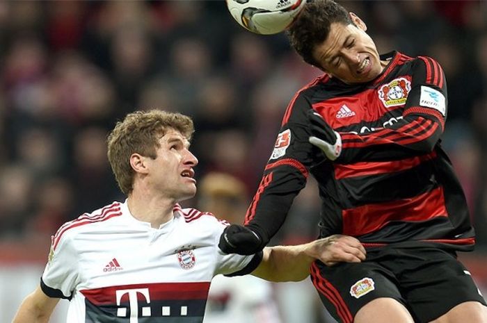  Gelandang Bayern Muenchen, Thomas Mueller (kiri), berebut bola dengan striker Bayer Leverkusen, Javier Hernandez, saat kedua tim bertemu di babak lanjutan divisi utama Bundesliga, 6 Februari 2016.