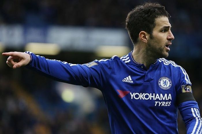 Gelandang Chelsea, Francesc Fabregas, dalam pertandingan Premier League 2015-2016 menghadapi West Ham United di Stamford Bridge, London, Inggris, pada 19 Maret 2016.