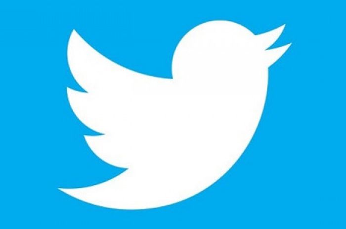 Perbedaan Twitter Blue vs Twitter biasa