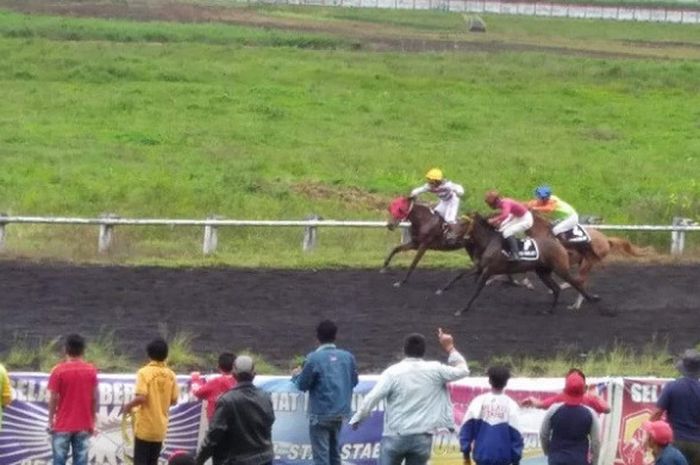 Peserta Kejurnas Berkuda sedang berlatih di Minahasa, Sabtu (11/11/2017).