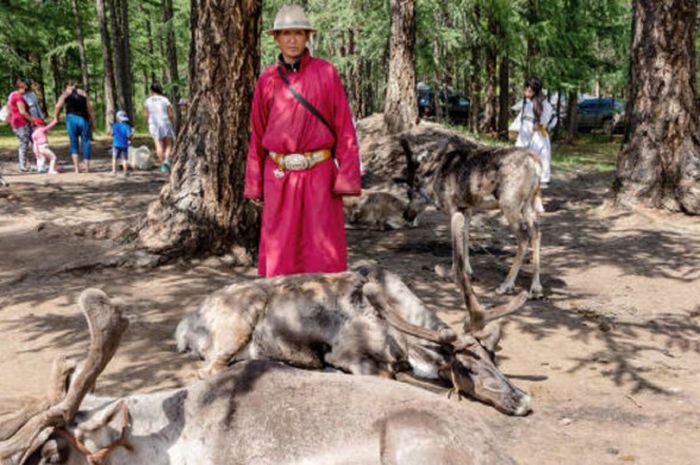 Kehidupan nomaden suku di Mongolia