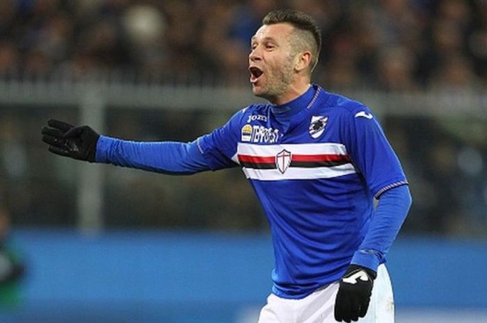 Antonio Cassano berteriak saat membela Sampdoria melawan Juventus dalam pertandingan Serie A di Stadion Luigi Ferraris, Genoa, Italia, 10 Januari 2016.