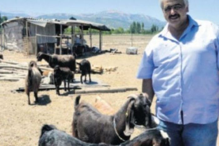 Klub asal Turki, Gulspor, menjual 18 pemainnya untuk membeli 10 ekor kambing.