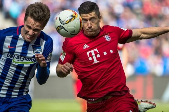 Aksi penyerang Bayern Muenchen, Robert Lewandowski (kanan), berebut bola dengan bek Hertha Berlin, Sebastian Langkamp, dalam laga Bundesliga, 23 April 2016.