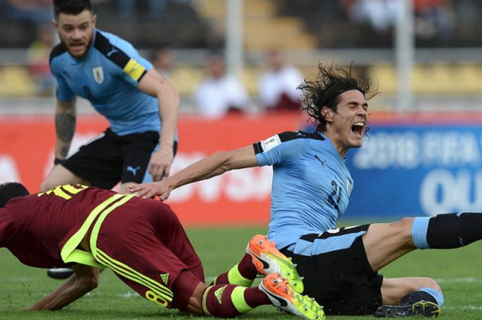 Striker tim nasional Uruguay, Edinson Cavani (kanan), terlihat kesakitan setelah dijatuhkan oleh pemain Venezuela dalam pertandingan Kualifikasi Piala Dunia 2018 zona Amerika Selatan di Stadion Polideportivo de Pueblo Nuevo, San Cristobal, Venezuela, pada Kamis (5/10/2017) atau Jumat dini hari WIB.