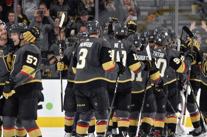 Tim hoki es profesional, Vegas Golden Knights .