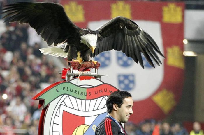 Maskot klub Benfica yang merupakan seekor elang