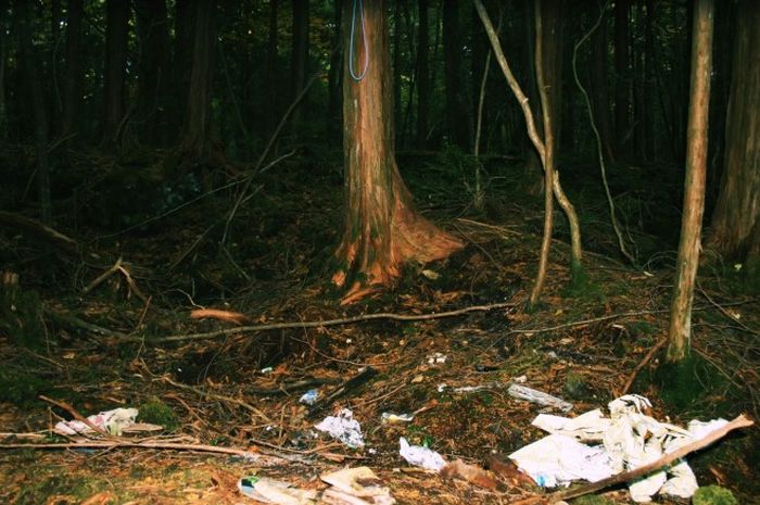8 Foto Menyeramkan Hutan Tempat Orang bunuh diri di Jepang, Aokigahara