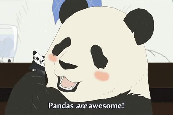 It is a panda. It is a panda