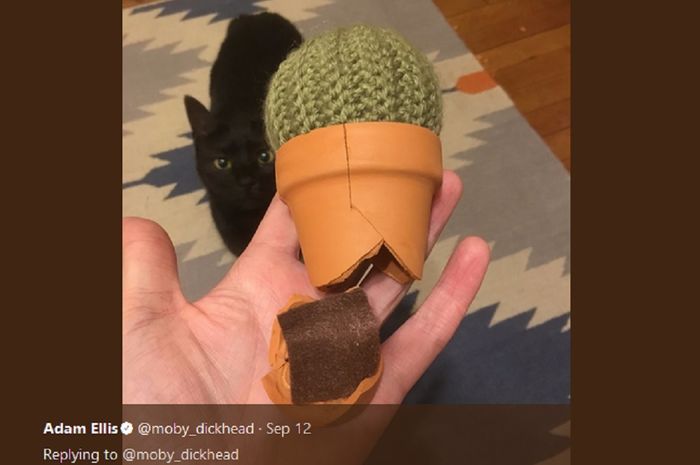 60 Koleksi Hantu Video Twitter HD Terbaru