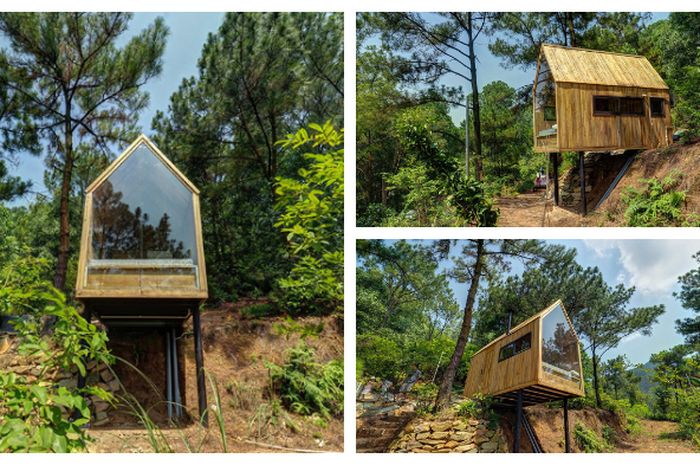 79+ Gambar Foto Model Rumah Di Hutan , Mau Coba? - seputargambar.com