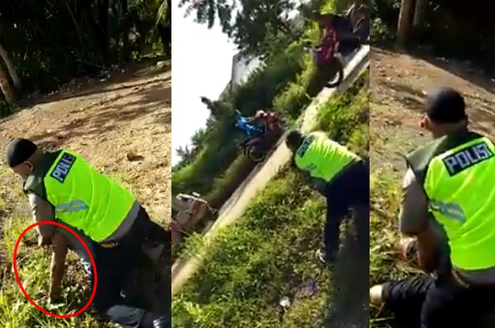 66 Gambar Montase Hewan Peliharaan Gratis