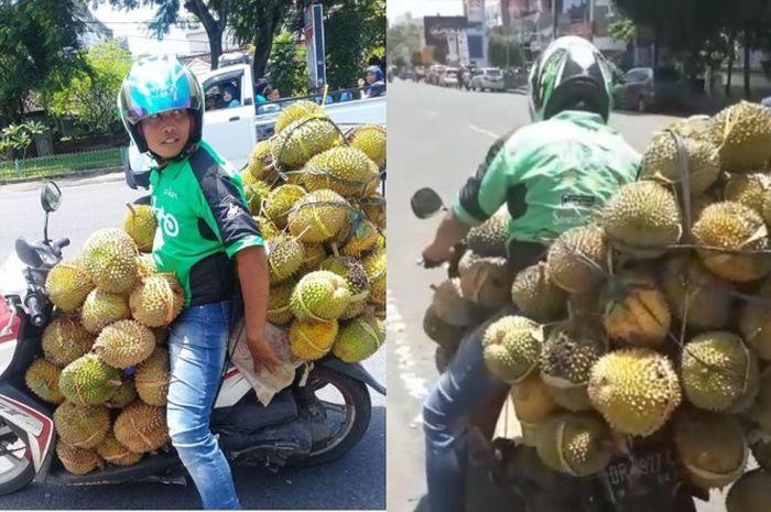 Download 720 Koleksi Gambar Durian Runtuh Terbaru HD
