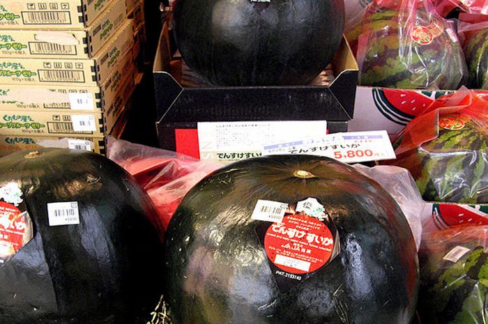 Beriku Ini Adalah 5 Buah Termahal di Dunia, No. 3 Semangka Hitam!