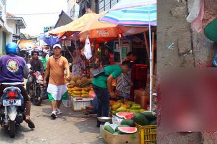 66 Gambar Montase Hewan Peliharaan Gratis