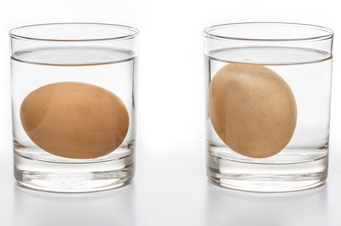 Semudah Ini Langkah Tips Mengetahui Telur Segar atau Sudah Busuk
