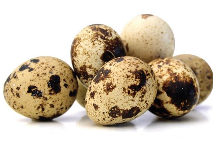 Hasil gambar untuk Telur puyuh