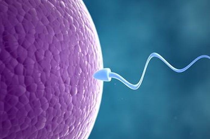 3 Hal yang Perlu Diketahui Wanita Tentang Fertilitas, No 3 Baru Tahu tuh!