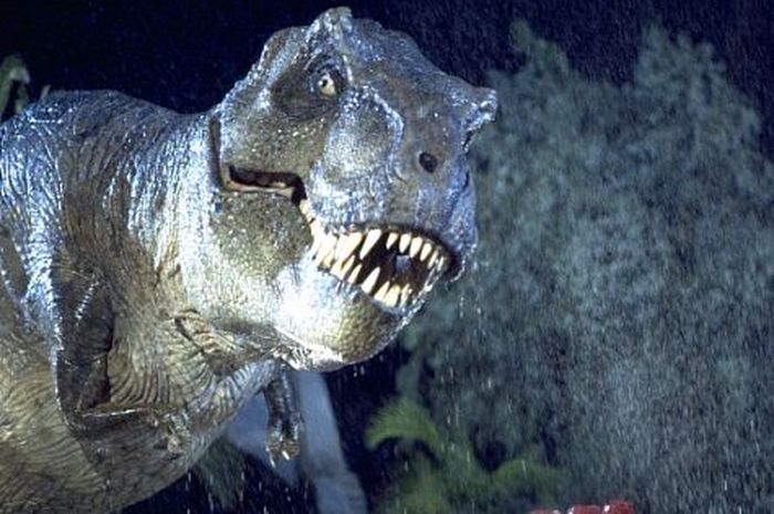 800 Gambar Dinosaurus Ganas Paling Keren 800 Gambar Dinosaurus Ganas Paling Keren
