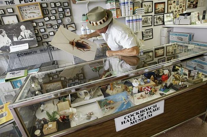 54 Koleksi Hantu Elek Terbaik