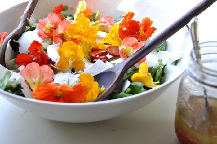 Fantastis 6 Bunga Ini Dapat Dimakan Langsung Semua Halaman Idea
