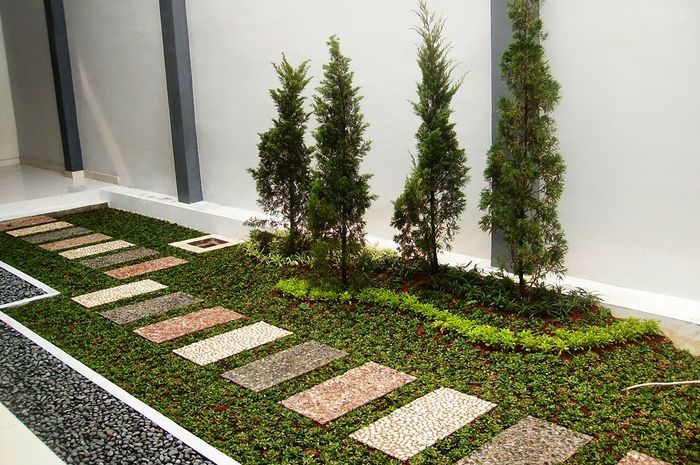 Tips Tepat Merawat Rumput Gajah Mini - iDEA