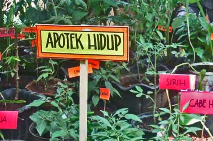 Inilah Fungsi Taman - iDEA