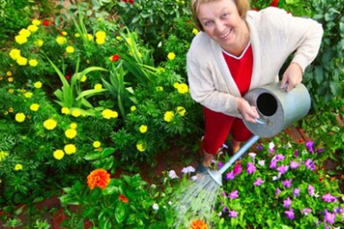 Yuk Merawat Taman Anda Agar Tetap Indah - iDEA