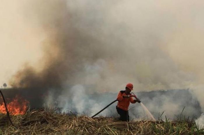 Benarkah Campuran Air dan Garam dalam  Satu Baskom dapat 
