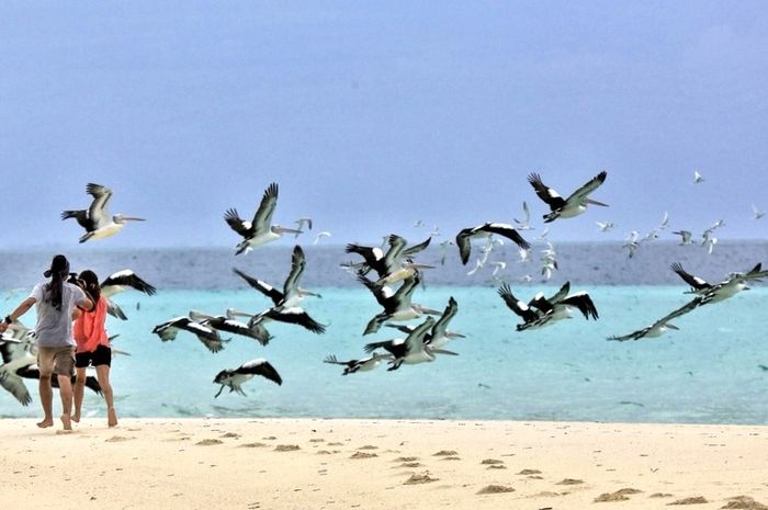 Hamparan pasir putih yang memanjang hingga dua kilometer ke arah laut saat air surut di Pantai Ngurtafur, menciptakan jalur alami yang unik